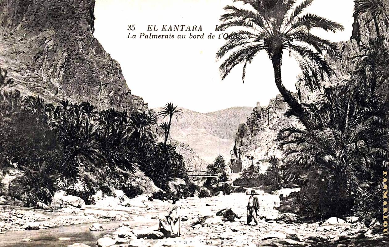 El-kantara - Palmeraie au bord de l'Oued.jpg